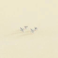 Boucles D'oreilles Puces OURSE - Cristal / Argenté