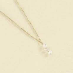 Collier Ras Du Cou PETILLE - Cristal / Doré